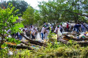 35 toneladas de desechos fueron recolectados, en la gran limpieza de playa en Panamá Viejo y Costa del Este